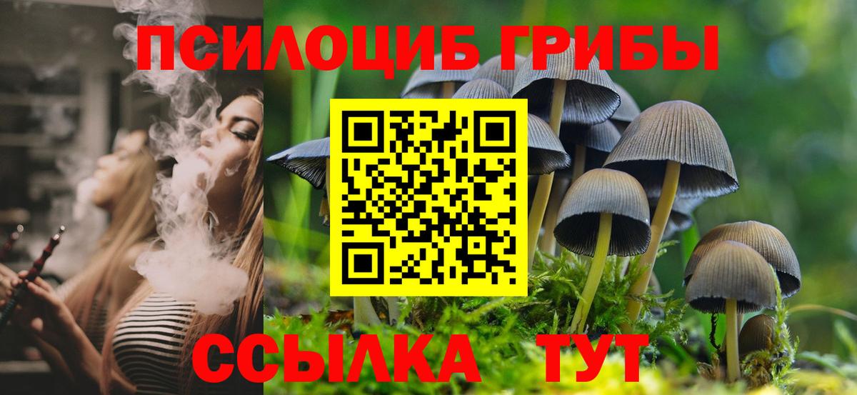 Будённовск  Псилоцибиновые грибы Cubensis  Вход с VPN  Псилоцибиновые грибы ЛСД 