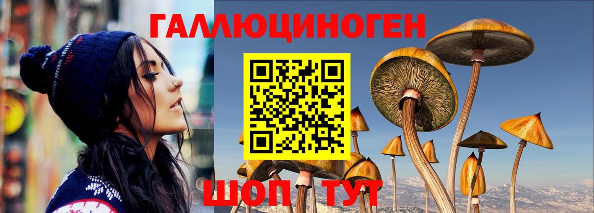 Псилоцибиновые грибы Cubensis Будённовск